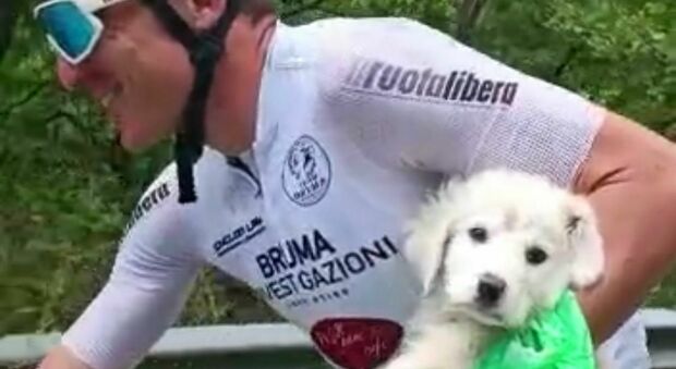 Smarrito e affamato in strada: ciclista salva un cucciolo di maremmano. «Gli ho dato le barrette energetiche, ora è stato adottato»