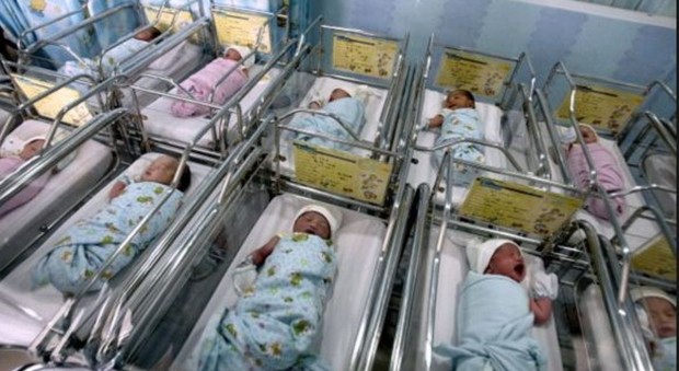 Olanda, causa contro la banca del seme: 22 bambini nati negli anni Ottanta assomigliano al direttore