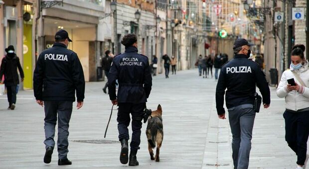 Emergenza droga, a Firenze arriva l'unità cinofila della Polizia municipale