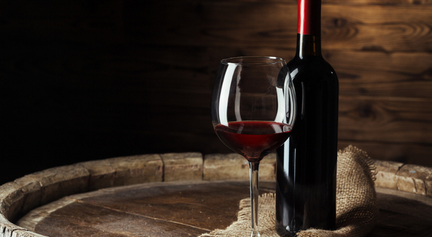 Gambero Rosso assegna i "Tre bicchieri". Ecco quali sono i vini migliori di Puglia