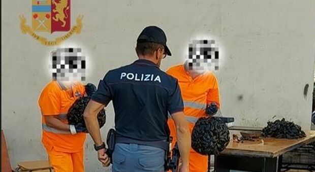 Taranto, la polizia sequestra mezzo quintale di mitili