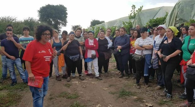 Caporalato, dimissioni in bianco e lavoro nero nelle campagne: la Cgil chiede tutela per i braccianti agricoli