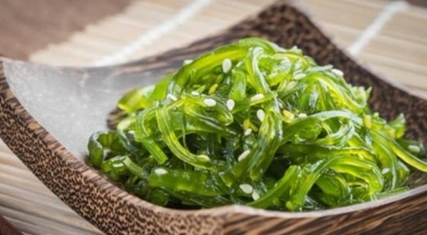 Spirulina, cos'è l'alga che riduce la fame e fa da scudo al cancro