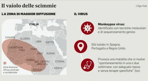 Vaiolo delle scimmie, primi casi a Roma: pazienti sotto osservazione allo Spallanzani