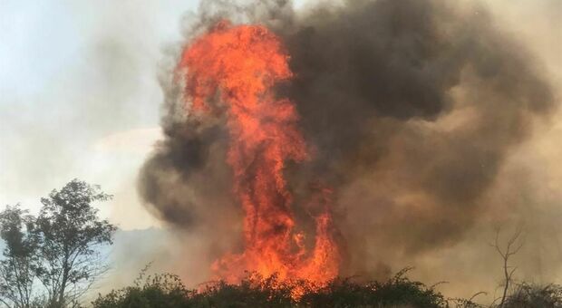 In due settimane mille incendi in Puglia: quasi 500 nel Salento. L'analisi: sei su dieci sono dolosi