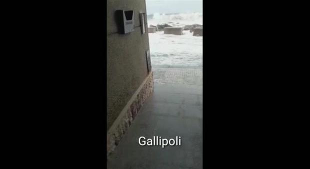 Gallipoli, il mare invade la terraferma: è devastazione - Quotidiano di Puglia